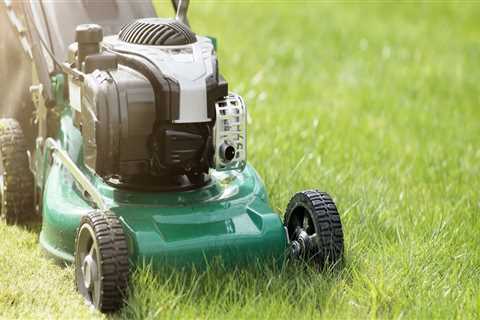What number should you mow your lawn?