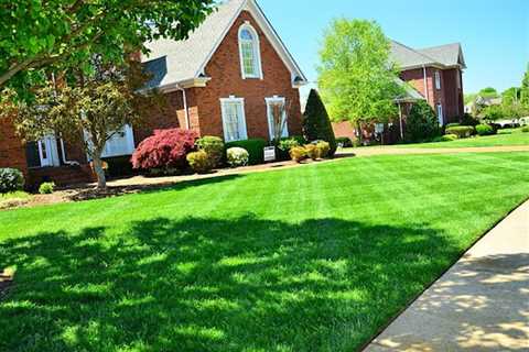 EPS Landscaping & Tree Service LLC