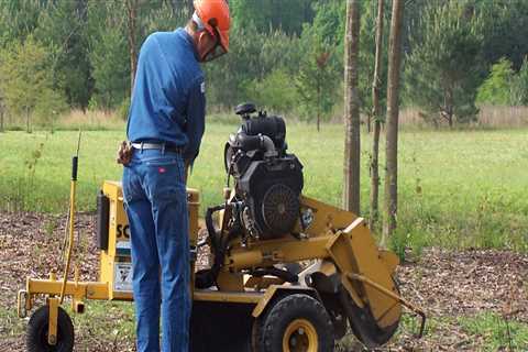 Why Stump Removal Is Crucial For Proper Land Clearing In Lubbock, TX