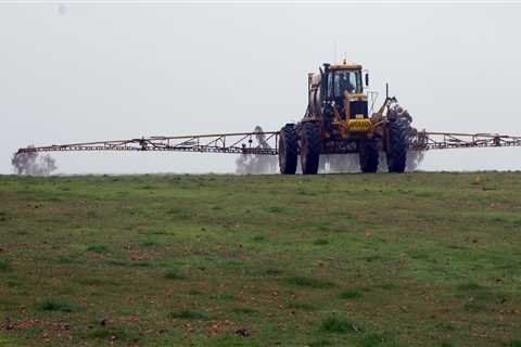 Can you spray pesticides in the winter?