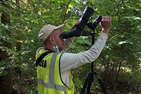 Progress On Asian Longhorned Beetle Eradication In Ohio