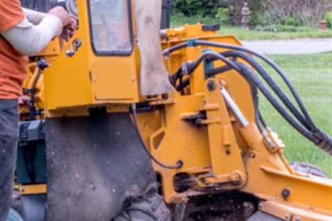 Stump Grinding Georgetown | Get A Quote