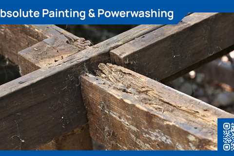 Standard post published to Absolute Painting and Power Washing at June 01, 2023 20:00