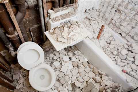 The Science of Surviving Bathroom Renovation