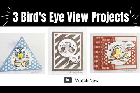 Three Birds Eye View Projects