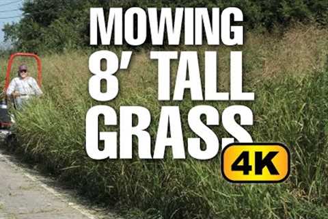 ALTOZ TRX 766 | Mowing 8'' Tall Grass in 4K | MOWING TEST