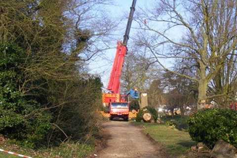 Tree Surgeons in Rochdale Residential & Commercial Tree Contractor