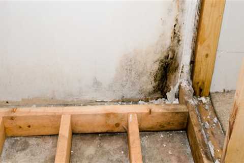 Can mold remediation be covered by insurance?