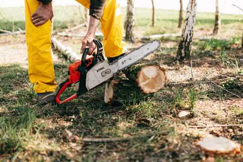 Who provides liability insurance for tree service?