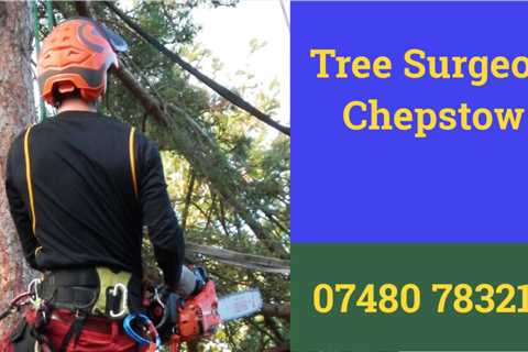 Llandegveth Tree Surgeons Commercial And Residential Tree Trimming And Removal Services