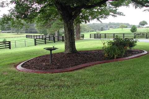 How To Group Trees In Landscaping