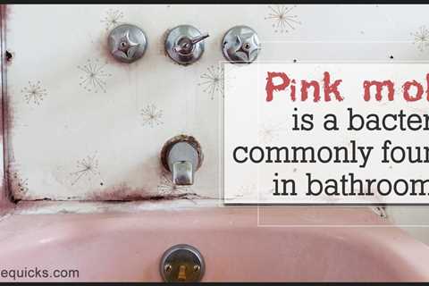 How to Get Rid of Pink Mold in Your RV - Pink Mold