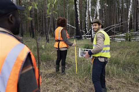 Why does a tree service need to be legal?