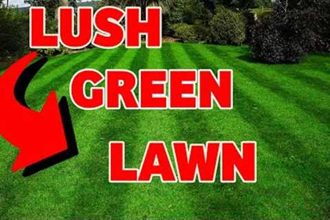 The biggest trade secret in lawn care