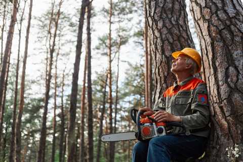 What Services Are Offered by Tree Service Arborists?