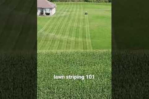 Lawn Striping - How To Stripe Your Lawn - Technique For The Best Lawn Stripes