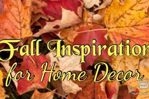 Fall Inspiration Ideas for 2023 Home Decor