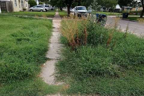 Crazy OVERGROWN Yard With HIDDEN Sidewalks Everywhere