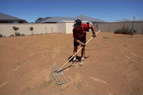 Full Lawn Renovation From Start To Finish // Seeding and Fixing My Lawn