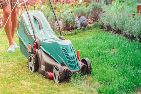 The Cost Of Lawn Care In Omaha