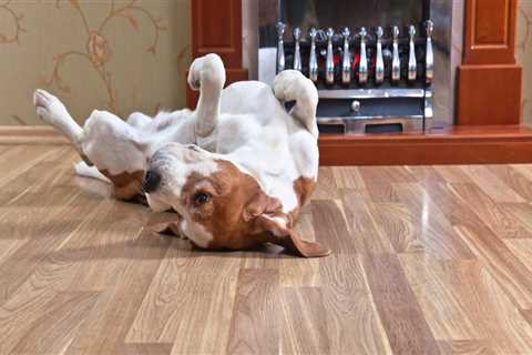 What hardwood flooring is best for dogs?