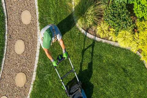 What do most lawn care companies charge?