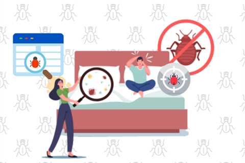 Mississauga Pest Control: Everything You Need to Know About Bed Bug Bites