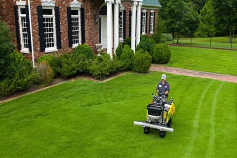 Are lawn care services worth it?