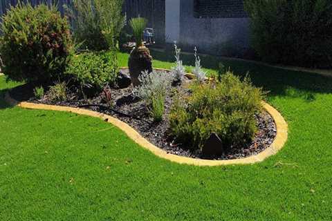 How often should a lawn be maintained?