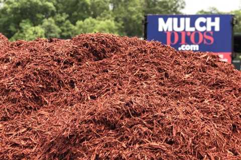 Cheap Georgia Mulch