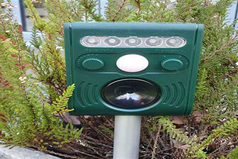 What Are The Top Features To Look For When Choosing A Solar Animal Repeller?