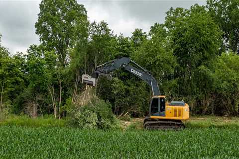 Transform Your Yard With Tree Stump Removal And New Grass Seed Planting In Ellisville, MS