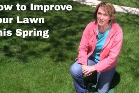 How to Improve Your Lawn this Spring