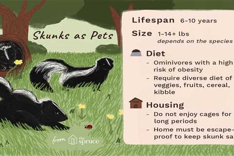 Can You Remove Skunk Scent Glands? Understanding The Challenges Of Skunk Odor Removal