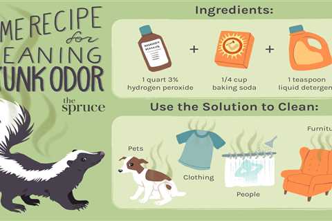 Skunk Smell Removal From Car: Tips And Tricks For Eliminating Lingering Odors