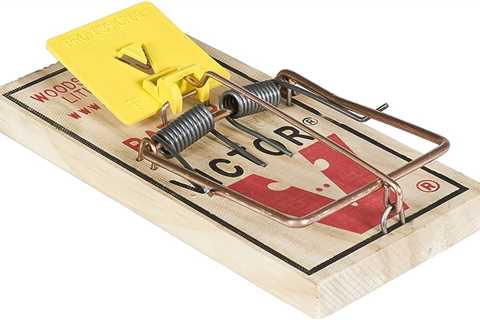 Where Can I Find A Wide Selection Of Rat Traps Online