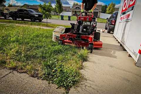 There''s NO WAY They''re Moving Out With LAWN Looking Like THIS