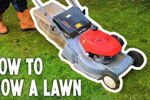 How to Use a Petrol Lawn Mower (How to Cut Grass)