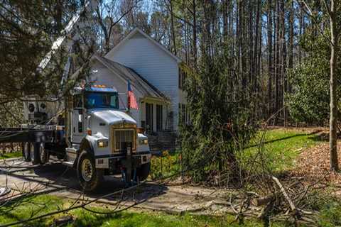 Can A Forklift Mechanic Repair A Crane's Diesel Engine If It Fails During A Tree Removal?