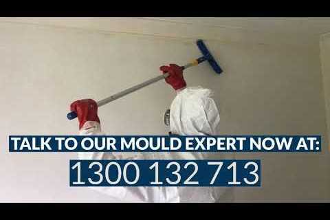 Mould Removal Newcastle – Why It Is Important to Get Mould Removal Done Right