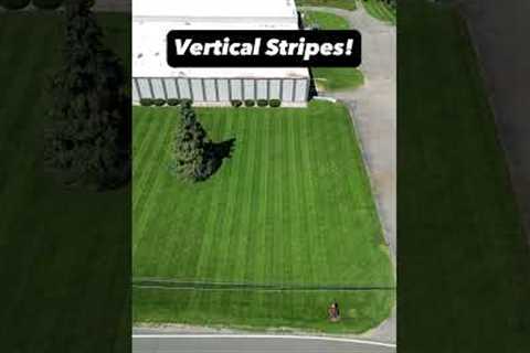 Lawn goals! 😍😍 Striping up our properties!