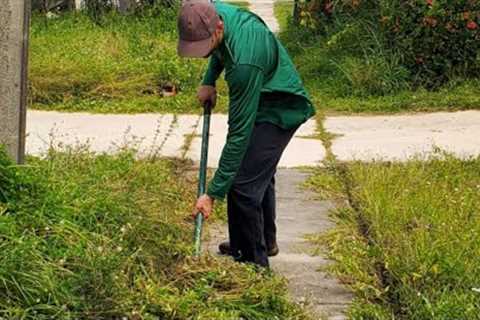 Son Buys House for Mom Doesn''t Recognize Property After OVERGROWN Lawn Transformation