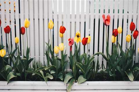 Creating Privacy And Security: The Importance Of Fencing Services In Christchurch's Front Yard..