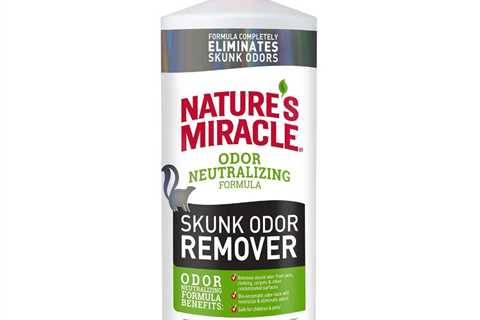 Best Skunk Odor Remover