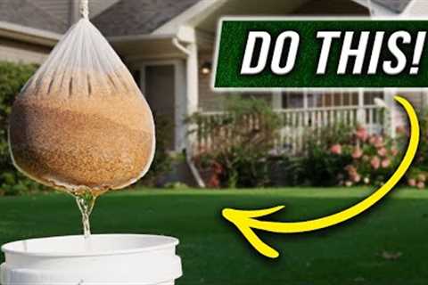 The FASTEST way to Grow Grass Seed!!