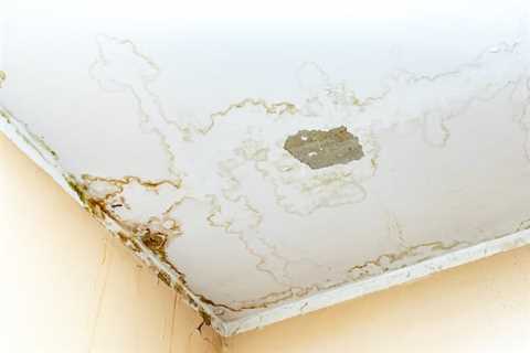 Who Do I Call For A Water Leak In My Ceiling?