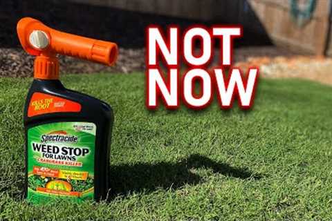 Fall is NOT the time to KILL WEEDS in your lawn! There's a BETTER option.