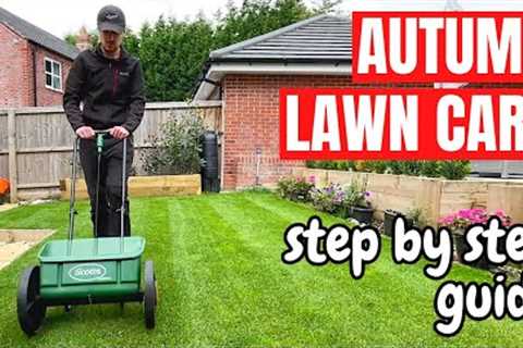 Autumn Lawn Care Guide - A Beginners Guide to the Perfect Autumn Lawn