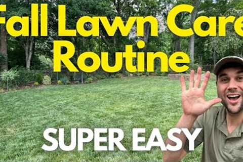 The TRUTH about FALL Lawn Care that the PROS know. (5 STEPS)