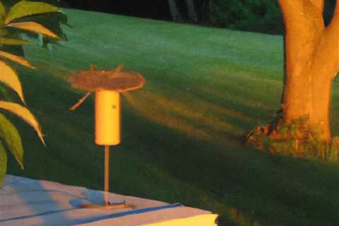 Effective Mosquito Control Methods in Rhode Island